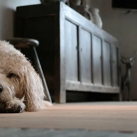 Romantikhuette Rothaarsteig Nyaraló Schmallenberg