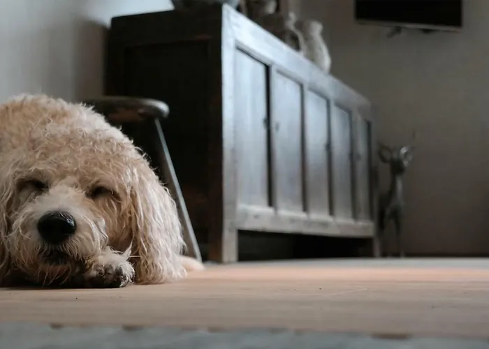 Romantikhuette Rothaarsteig Holiday home Schmallenberg